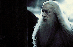 dracosferret:i love harry potter meme [two deaths] Albus Dumbledore