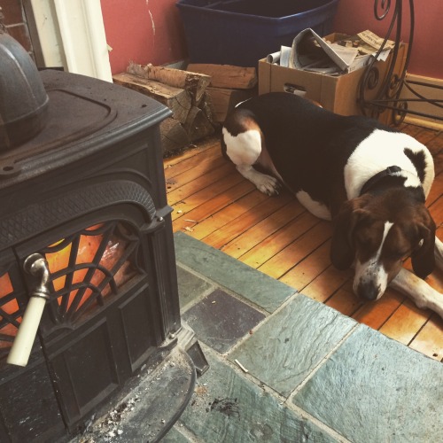 woodstove