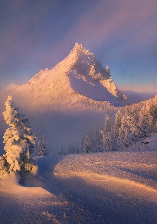 gardenofgod:Winter Morning.