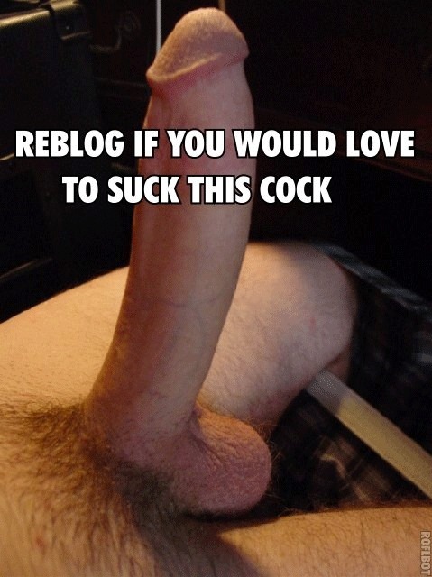 tjr02: horny4urcock: mjp838383: Yes I would love to suck that,or any other cock Ohhhh ya!!!! Love co