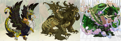 Screenshots of the Kaycee, Leshy, and Magnificus dragons from the Flight Rising website.
