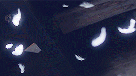 akb48love:   SNH48 (Team N2) → Light Trajectory (光之轨迹)