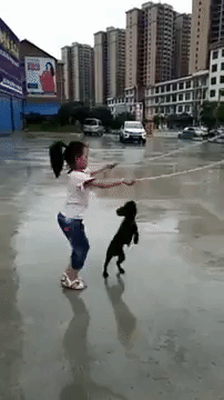 archiemcphee:Because sometimes what you need most is to watch a little girl and her pupper skipping 