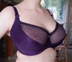 Ms-Curves:  Another Review From The Blog Bras And Body Image, The Curvy Kate Gia