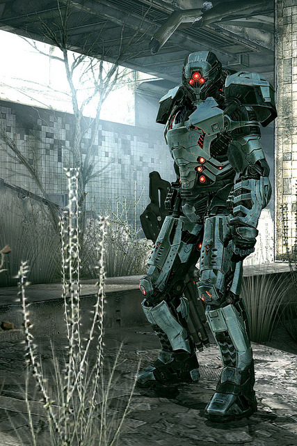 crassetination:  Various Cyber Soldiers 110