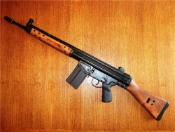 gunrunnerhell:  PTR-91 U.S made clone of