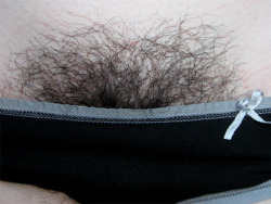 baretobush:  Day 66. For some reason, this is the third time I’ve taken a picture wearing this same pair of panties. It’s kind of bizarre, because I only own one pair with this little bow on them, but apparently I wear them a lot. Ahh, the things