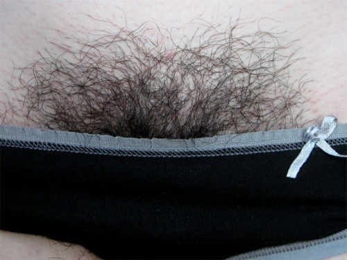 hairydarling: There is something on this photo