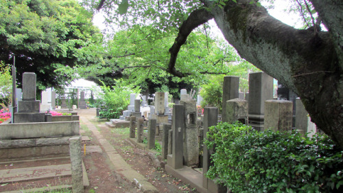 One of my favourite places in Tokyo, Yanaka. It kept its “shitamachi” vibe despite the y