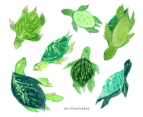 nk-illustrates: Plant Turtles from my Flora (Fauna) Series.