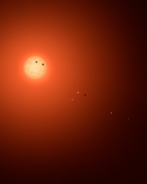 Hubble Delivers First Hints Of Possible Water Content Of TRAPPIST-1 Planets 