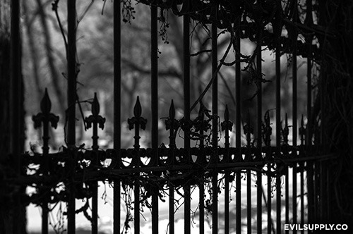 evilsupplyco:  Photo of cemetery gate by Evil Supply Co. Shot in 2013. 