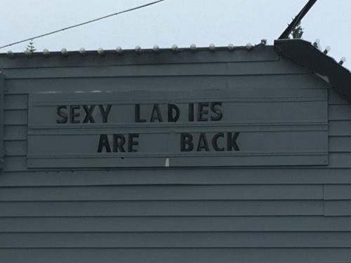 THE TRIUMPHANT AND LONG-AWAITED RETURN OF SEXY LADIES CANNOT SAVE YOU