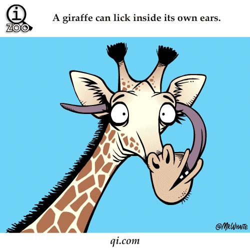 Just Funny Pictures