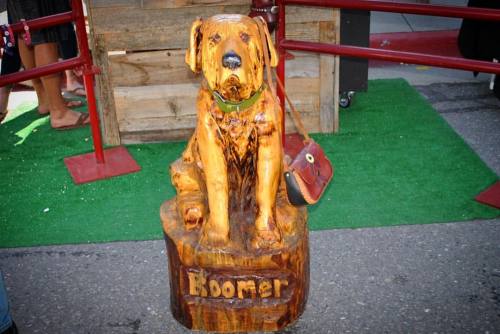 Boomer runs a business called #boomdog #moneydogz #businessdog #parkcity #utah