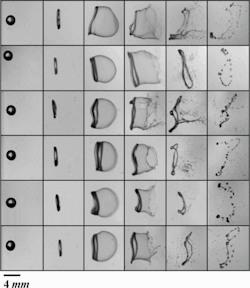 fuckyeahfluiddynamics:  We often think of raindrops as spherical or tear-shaped, but, in reality, a falling droplet’s shape can be much more complicated. Large drops are likely to break up into smaller droplets before reaching the ground. This process