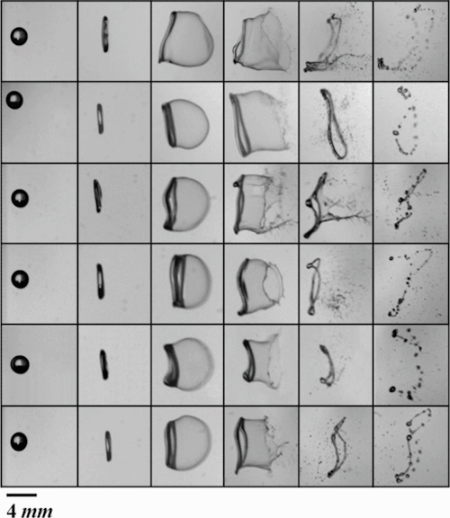 fuckyeahfluiddynamics:  We often think of raindrops as spherical or tear-shaped, but, in reality, a falling droplet’s shape can be much more complicated. Large drops are likely to break up into smaller droplets before reaching the ground. This process