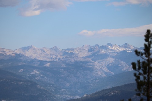 vhord:  nuhstalgicsoul:  My solo adventure today in the Sierra Nevadas  strictly nature