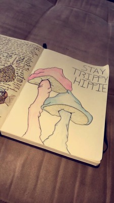 wokeuptripping: I had a fun time creating this and starting a new drawing journal! Stray trippy hippie✨  *dont remove caption* 
