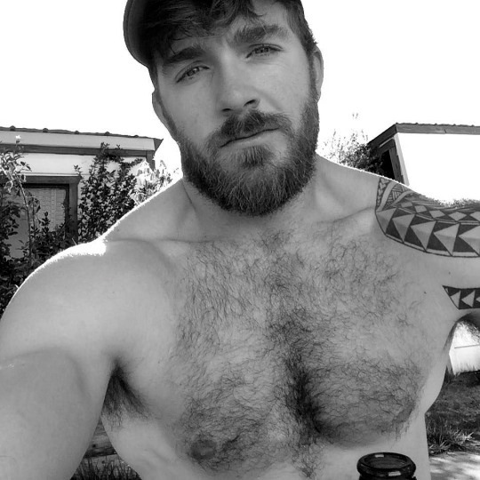 hairychestg:  abeautifulindiscretion:  Bear In Mind   hairychestg 