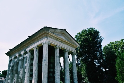 Temple of Portunus // Rome 6.24.17