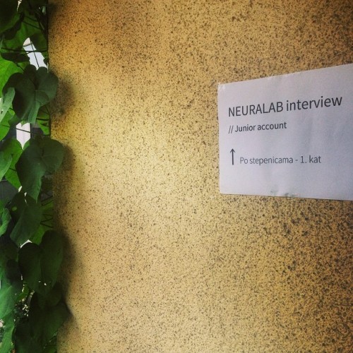 Swarming up! (at Neuralab & Transmeet.Tv)