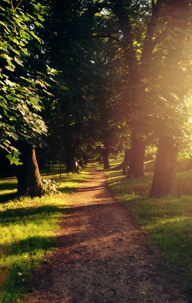 bowhurst:  ×  Let's go on an adventure...   ×  Also on Instagram  × 