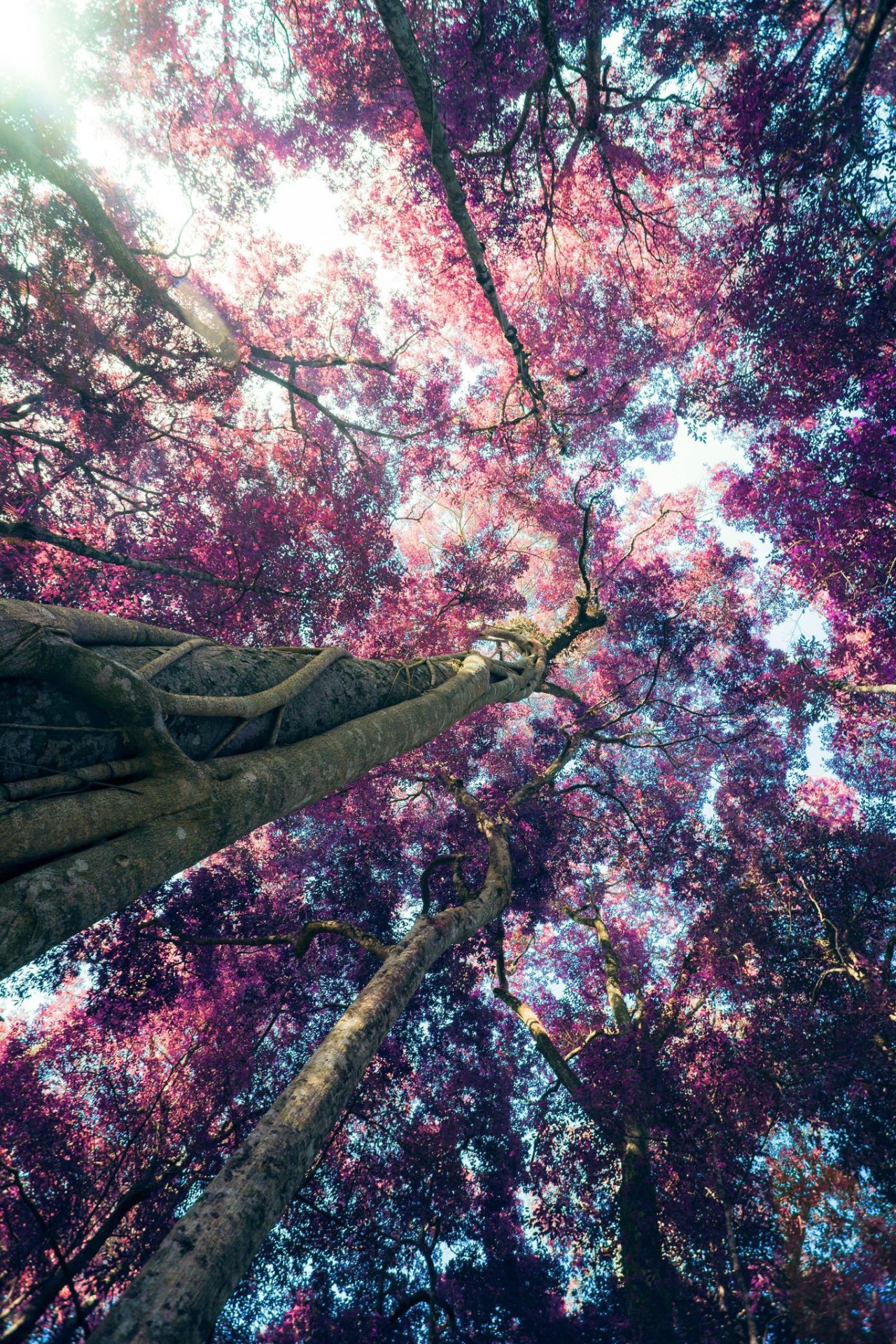 10bullets:   by Chanarthip Siriviriyapoon 