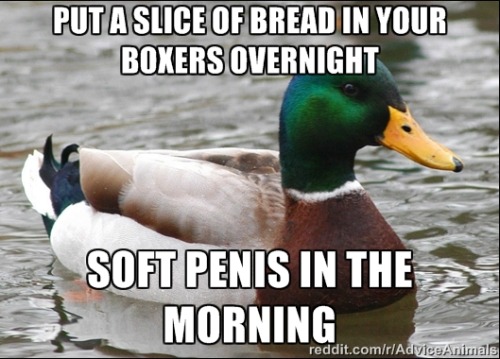 advice-animal:  No more morning wood!http://advice-animal.tumblr.com/  ……………………… is this meme implying that morning wood is BAD….  WOAH there Satan… =_=