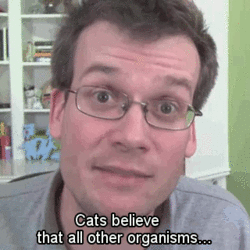 chococats:  And here we have New York Times Bestselling Author, John Green.  