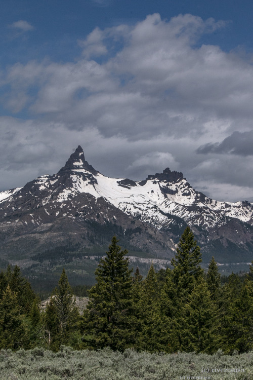 riverwindphotography:Pilot Peak and Index Peak, Absaroka Range, Wyomingriverwindphotography, June, 2