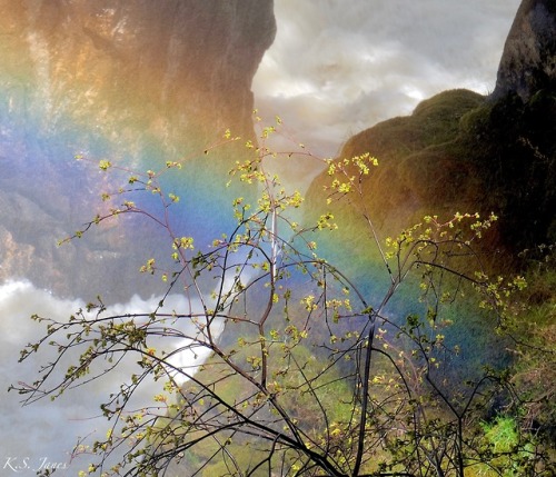 ksjanes: Finding The Rainbows In Life K.S. Janes Shell Falls Wyoming