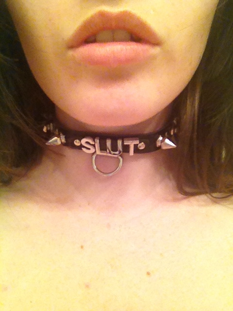 littlekittenn:  New collar came in the mail 💕