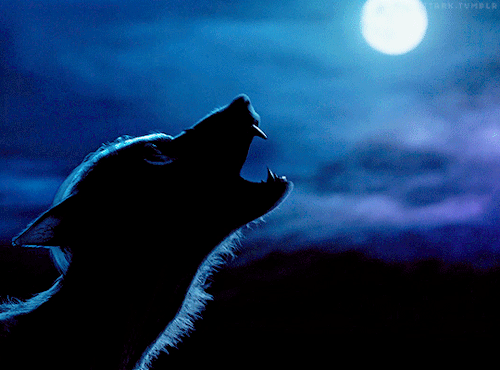 stark:  by the pricking of my thumbs, something wicked this way comes