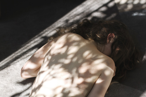 glashaut:  they say there’s no twilight galaxy (von Charlotte Clara) 