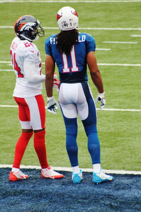 blackveilbarb:  savvyifyanasty:bigcrawdaddy:  phillyprints:  Larry Fitzgerald  Larry