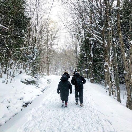 We like hiking and stuff… #snowshoeing #hiking #winter #snow #bluemountain #trailhiking #dege