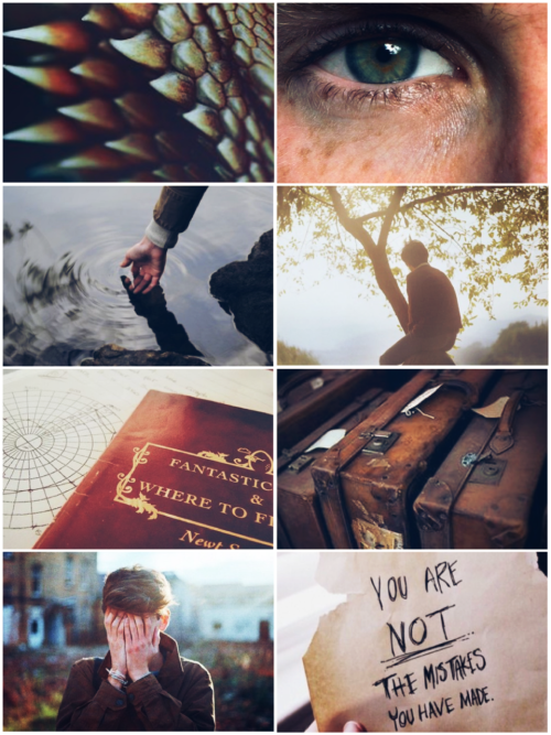 jordsie: So I’m in love with Newt Scamander…  I don’t own any of these photos.