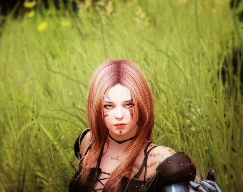 black desert online