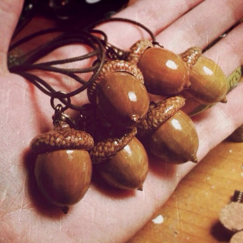 These little acorn box necklaces are restocked! Go go go! Http://theboneslums.storenvy.com #pagan #p