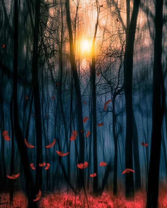 bestof-society6:  ART PRINTS BY VIVIANA GONZALEZAutumn Song.. Red feather dance Faith