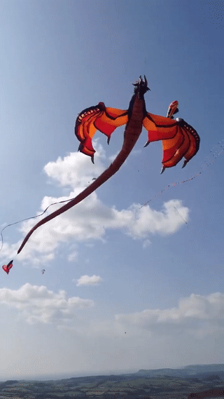 sixpenceee:  This dragon kite looks way too good!
