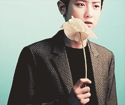 e-x-o-s:        7-10/∞ gifs of chanyeol | chanyeol for ceci       