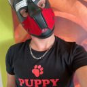pup-jaxx avatar