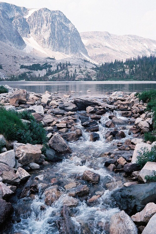 vhord:  strictly nature