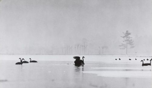 2000-lightyearsfromhome:© Shuji Ishii. The Snow Lake. c. 1959