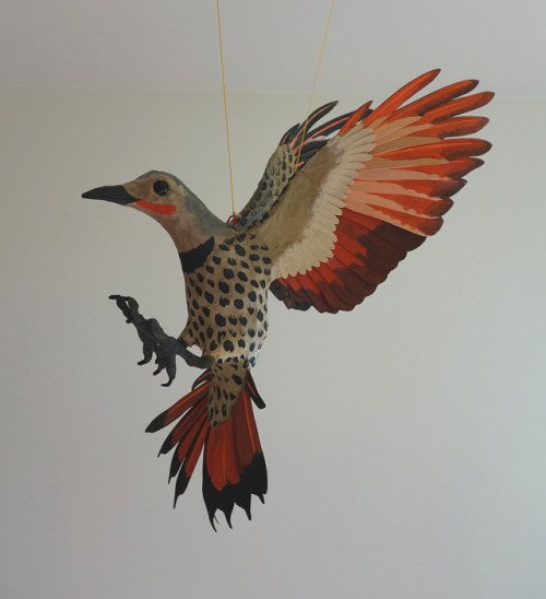 2017 - I made a paper Northern Flicker :)