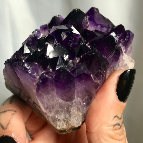 foolishandfurious: starborn-witch: Amethyst so purple it’s nearly black brain: eat itme: what?