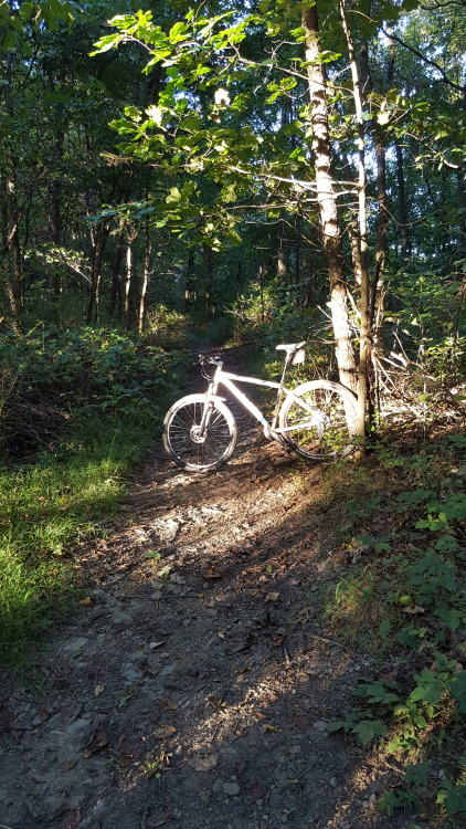 livinglifetwowheeler: Nice short ride tonight.