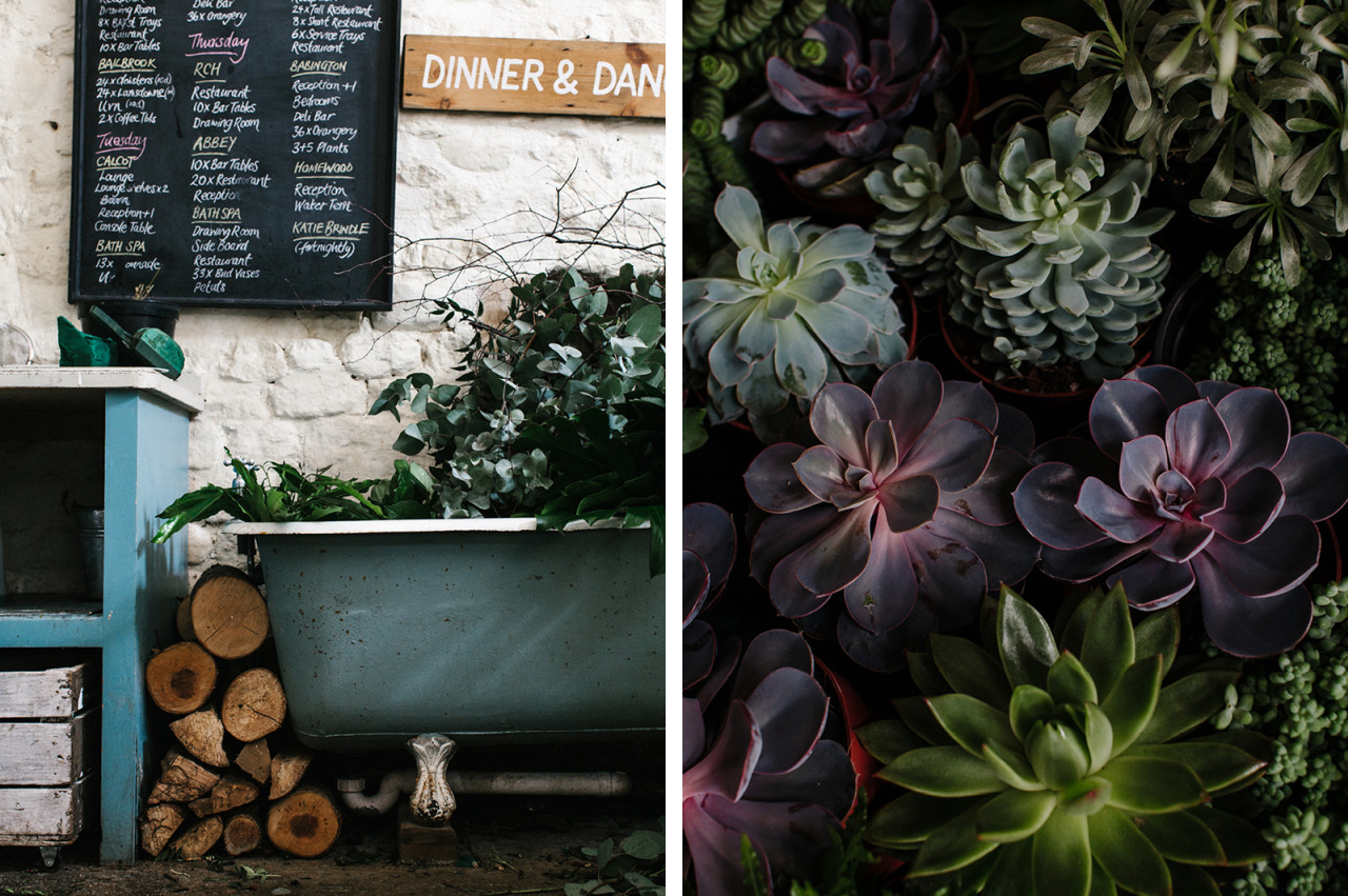 birdasaurus:Flowers by Passion - Cereal Magazine